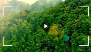 Europe Ayurveda Academy – Official Headquarters